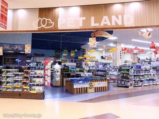 ワンラブ ニシムタ N Scity谷山店 ワンラブ ニシムタエヌシティタニヤマテン ペットサロン ペット美容室検索ドッグビューティー