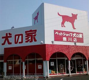 ペットショップ 犬の家 豊川インター店 ペットショップ イヌノイエ トヨカワインターテン ペットサロン ペット美容室検索ドッグビューティー