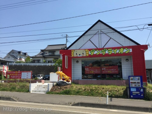 ダンデライオンさん専用 ライオンファミリーセット No.2