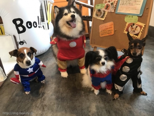 With Dog ウィズドッグ ペットサロン ペット美容室検索ドッグビューティー