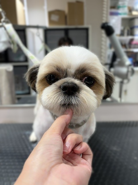 �����J�b�g��