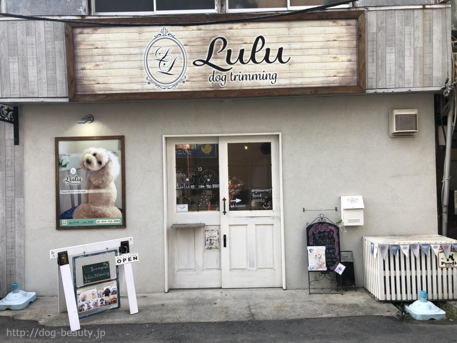 Lulu`dog trimming`