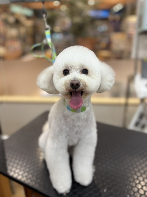 �v�[�h�������̂܂�ۃe�f�B�J�b�g�I