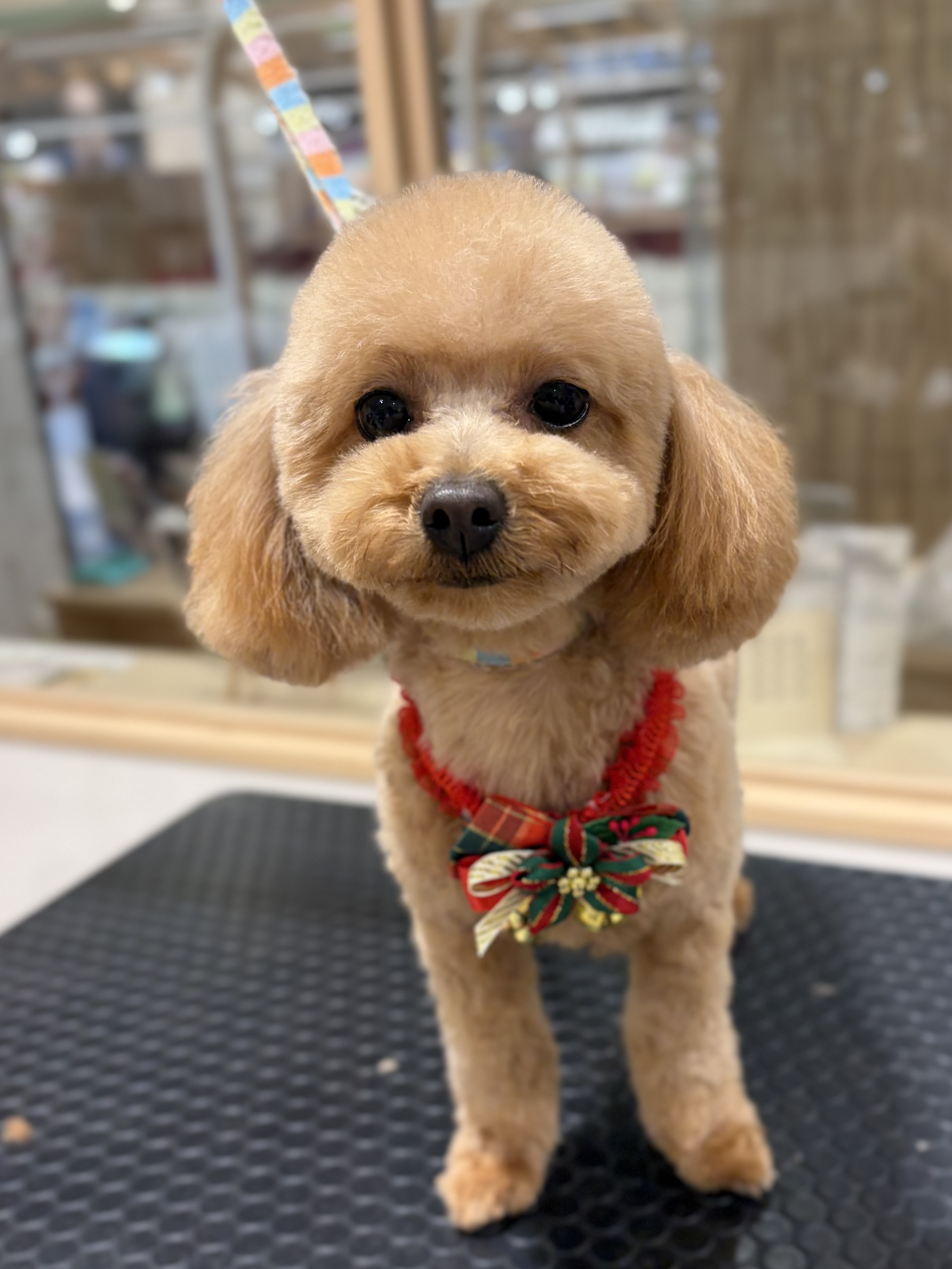 ��������x�A