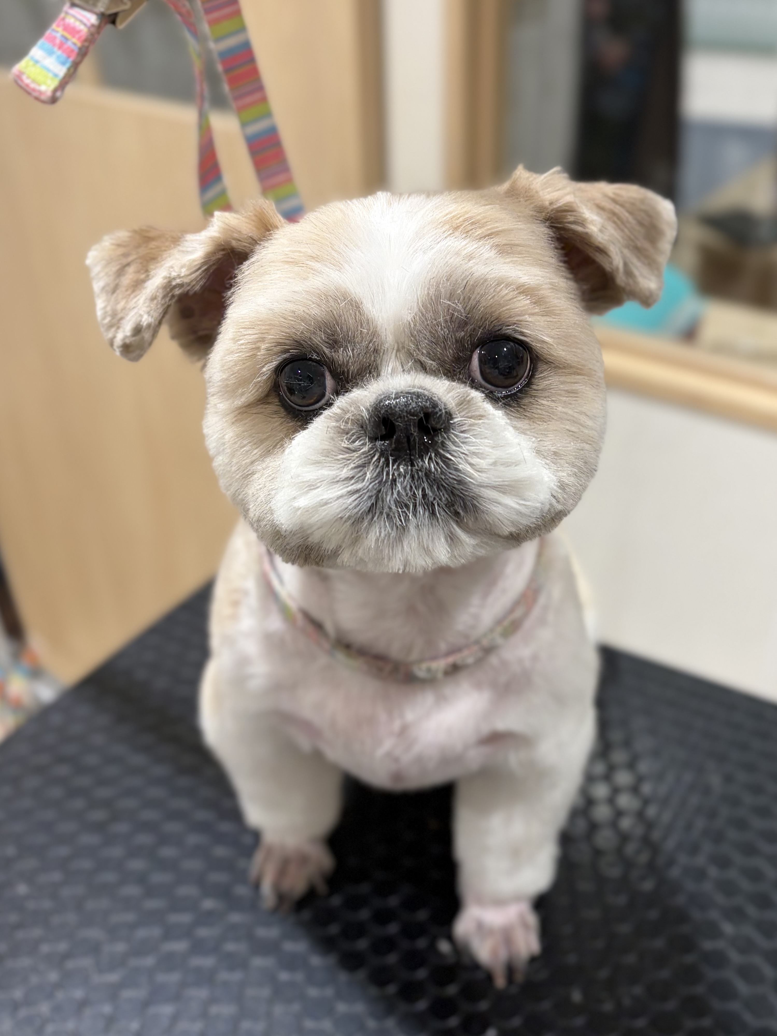 ��������܂�܂�J�b�g