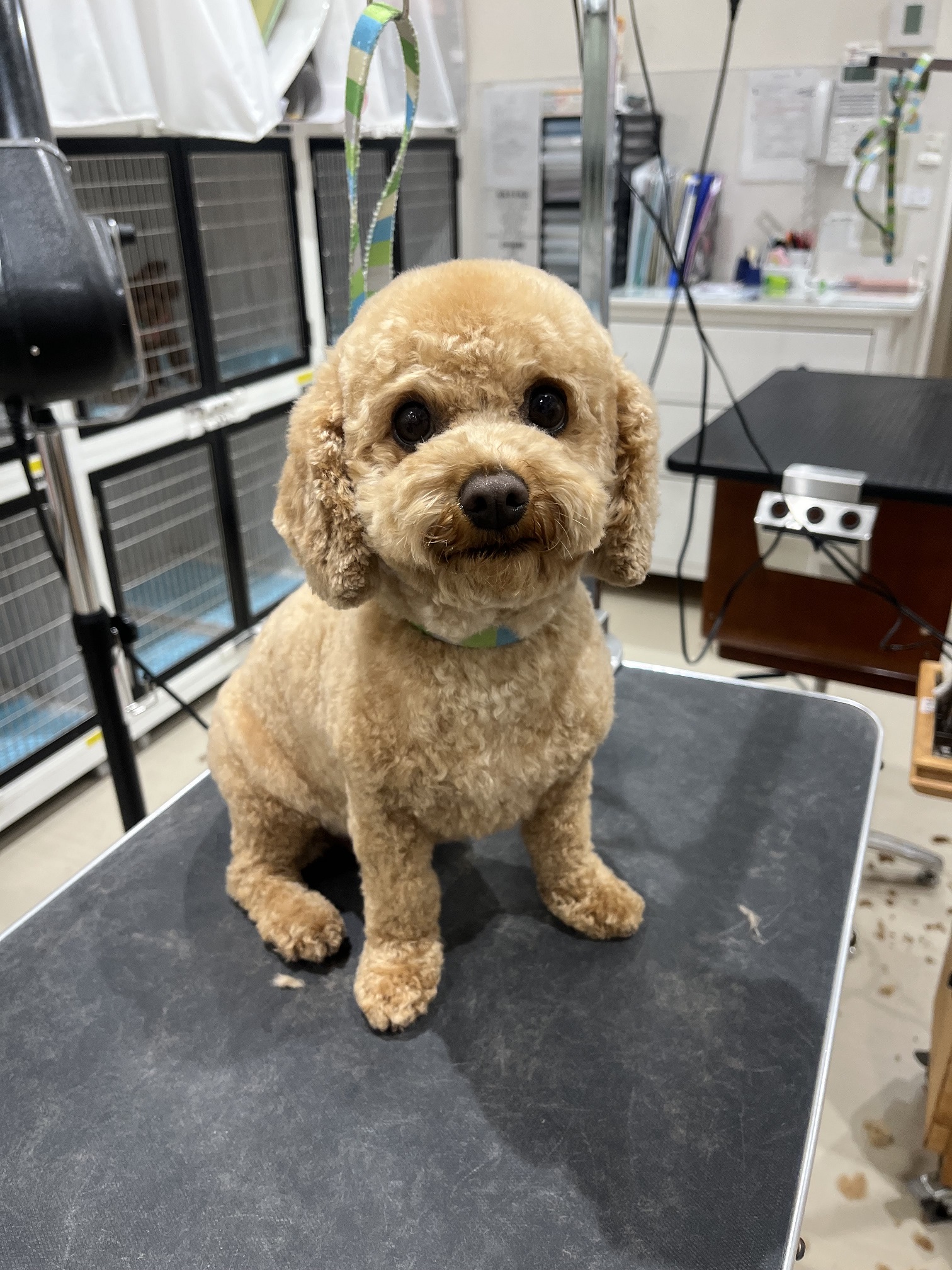 ��������ۂ������J�b�g