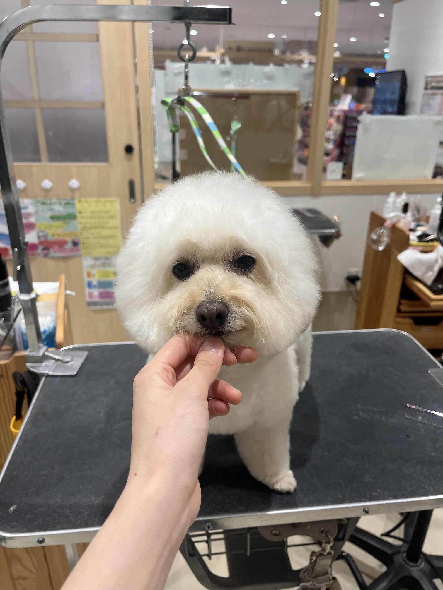 �������Ȃ����R���p�N�g�A�t���J�b�g