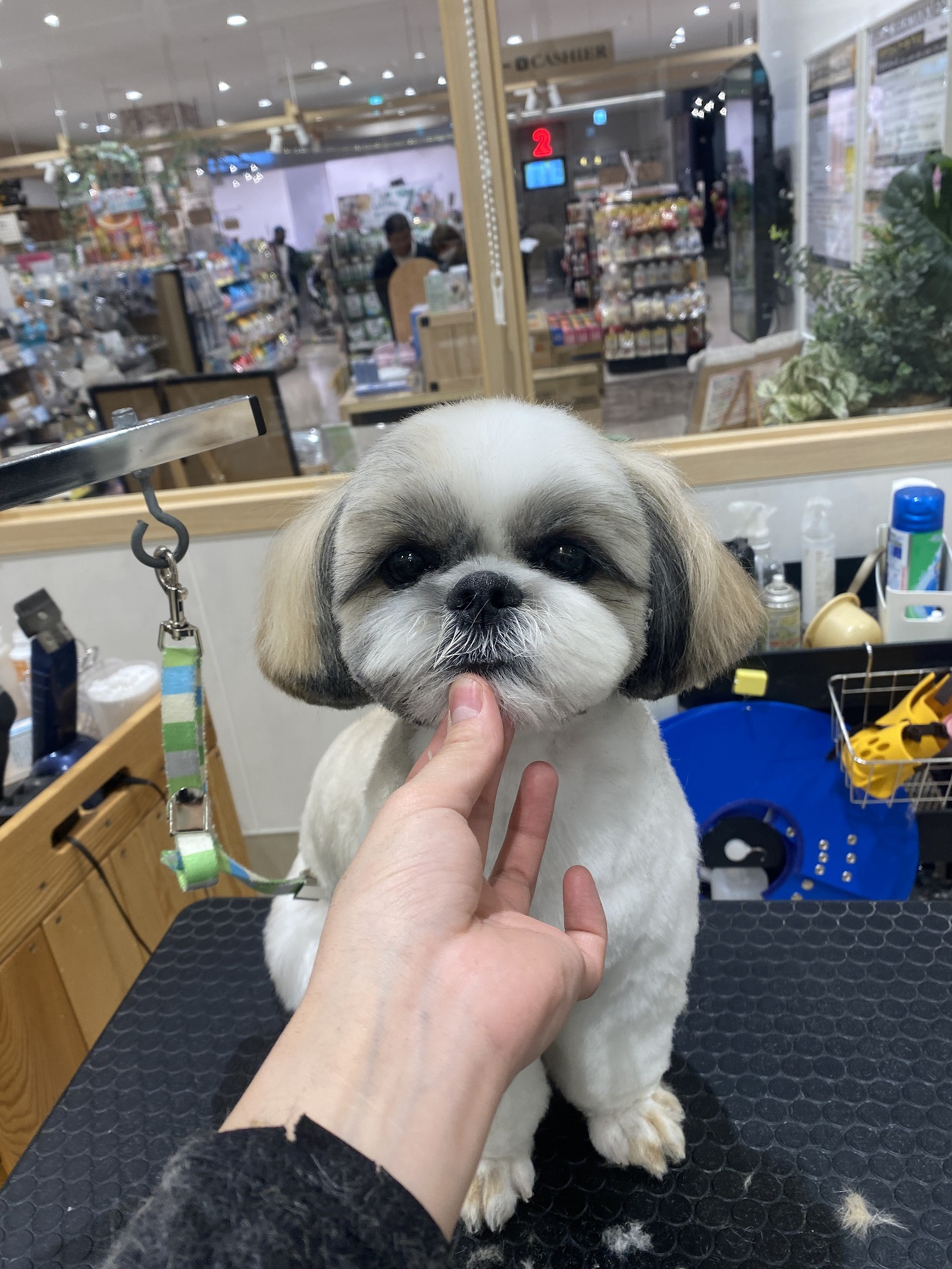 �܂�܂�J�b�g