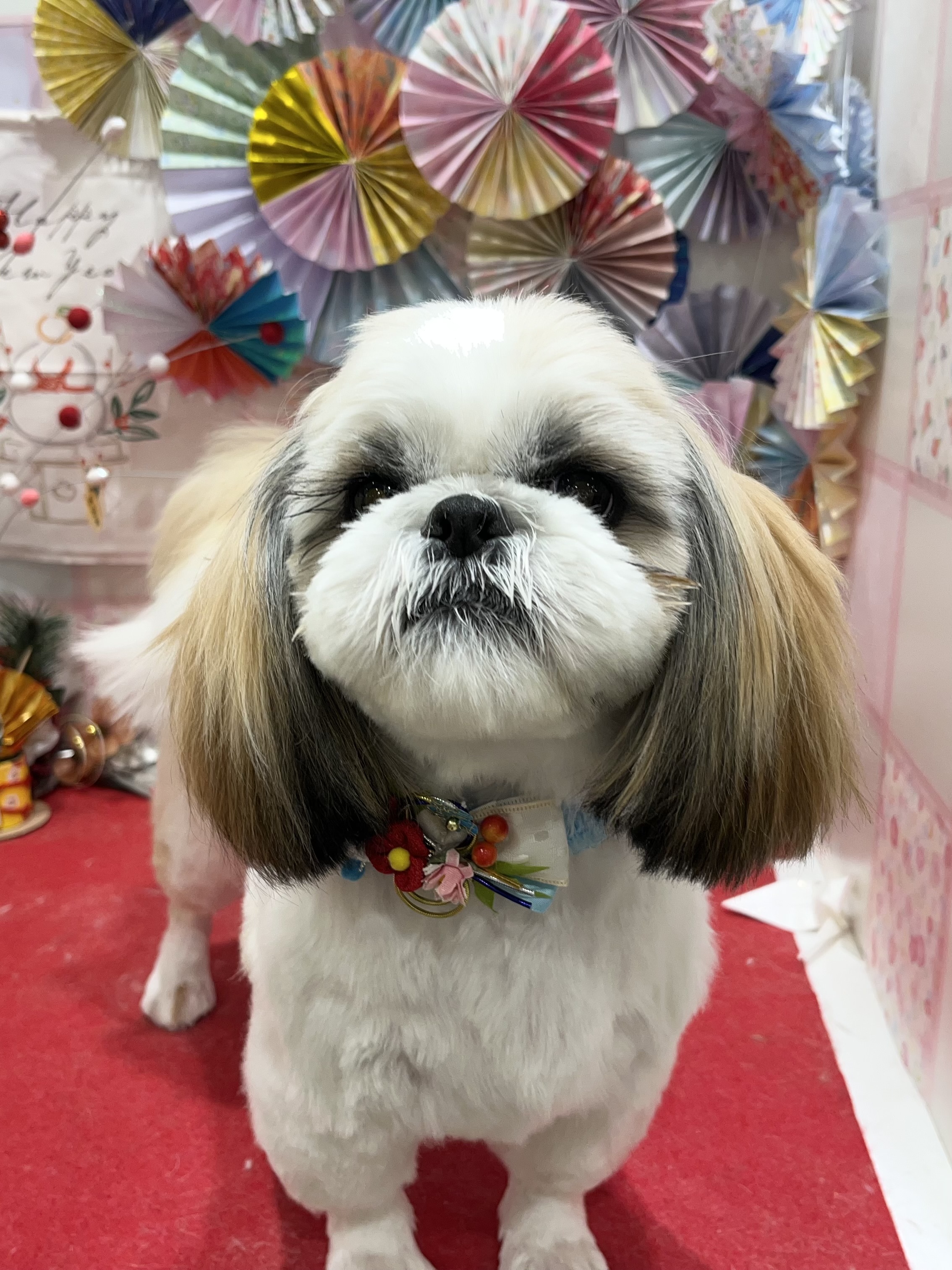 �����X�b�L��