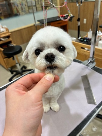 �����X�b�L���܂�܂�J�b�g