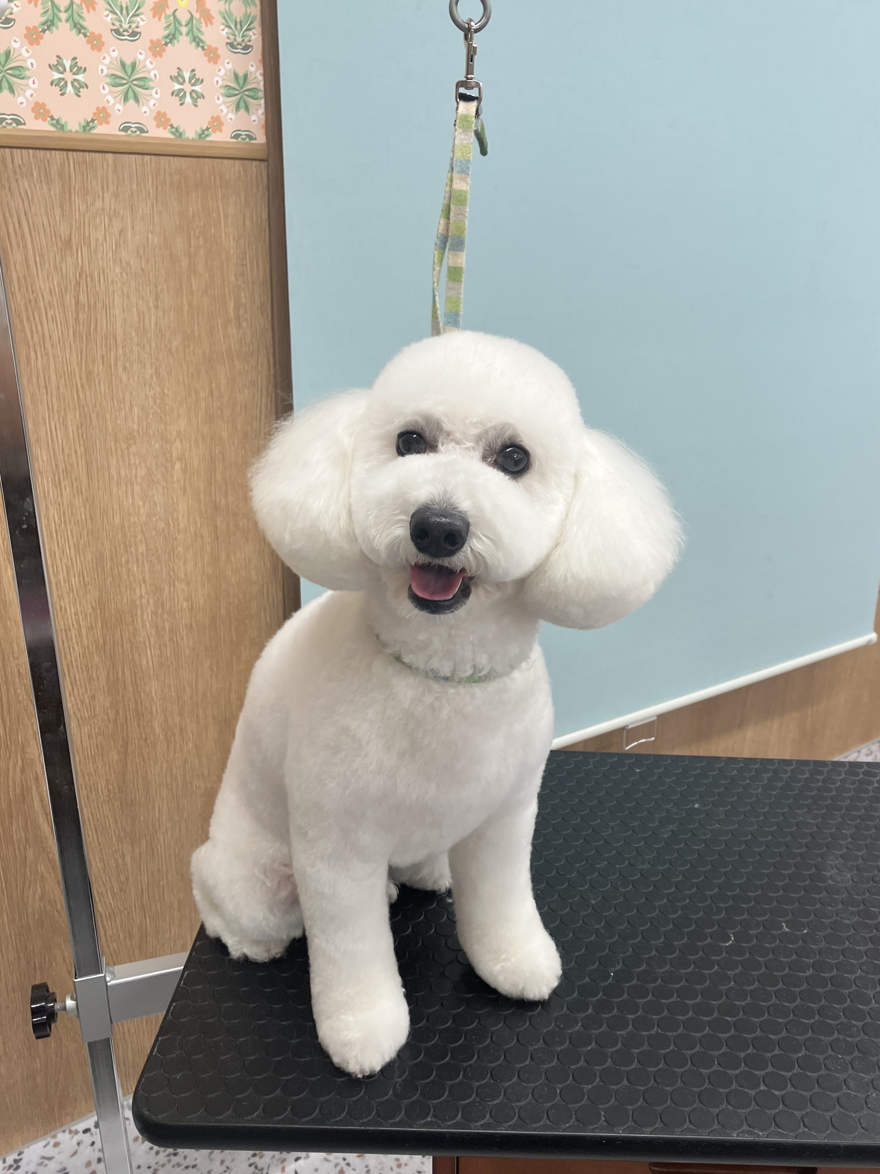 �e�I����̂�������J�b�g