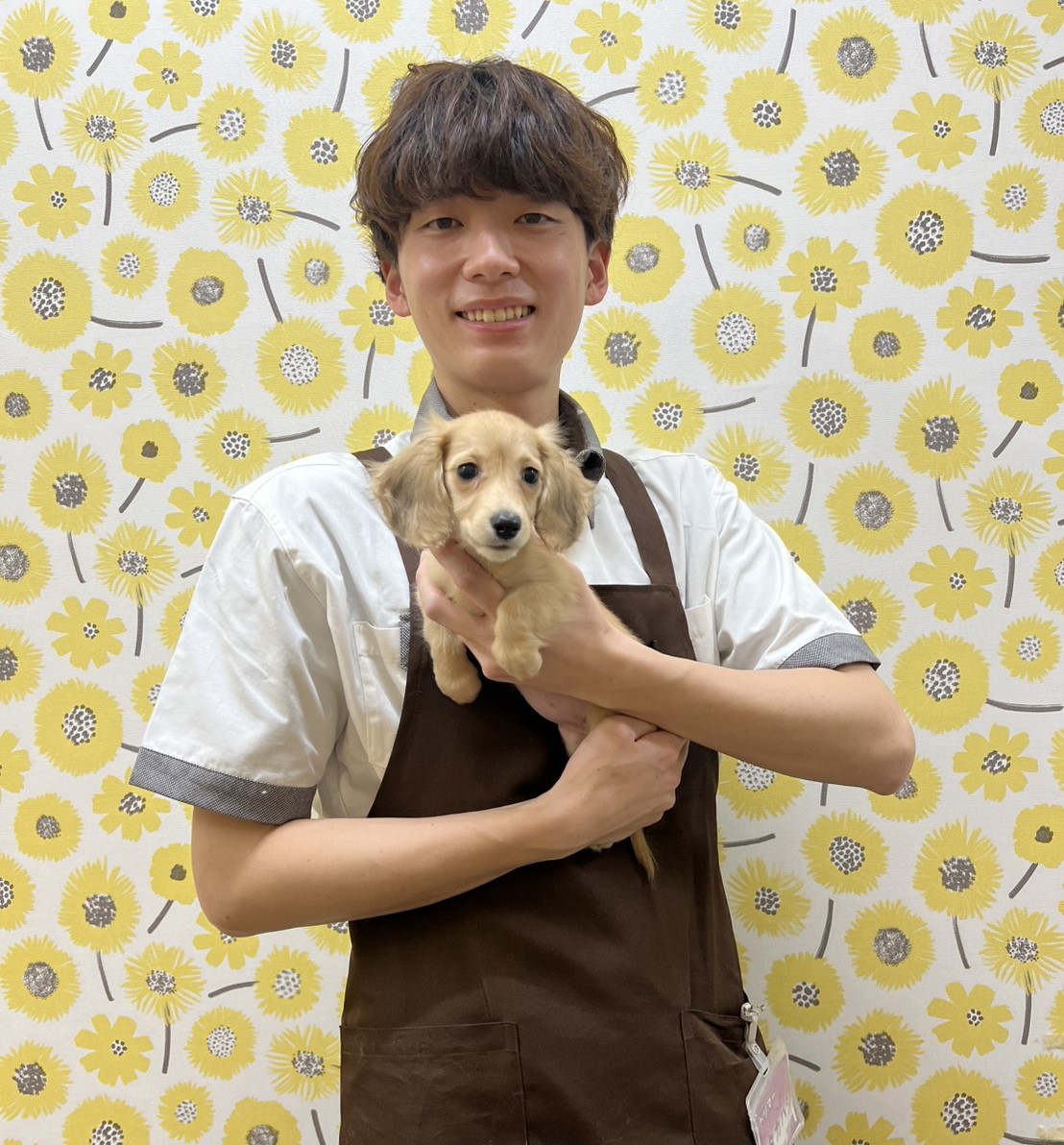 Takahashi