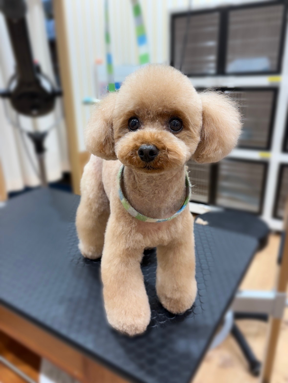 �m�A����̂����̃X�^�C��