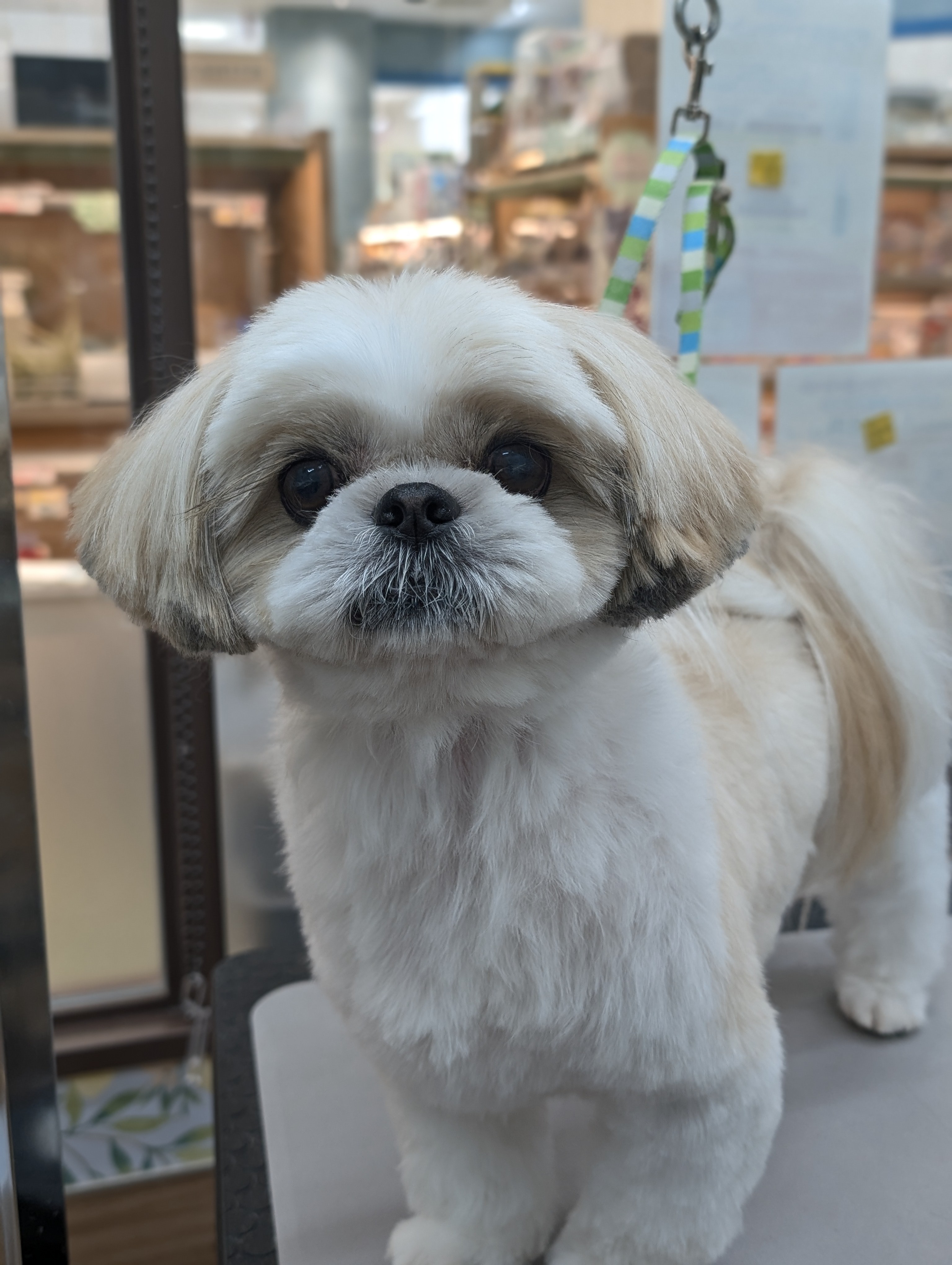 �邿���J�b�g