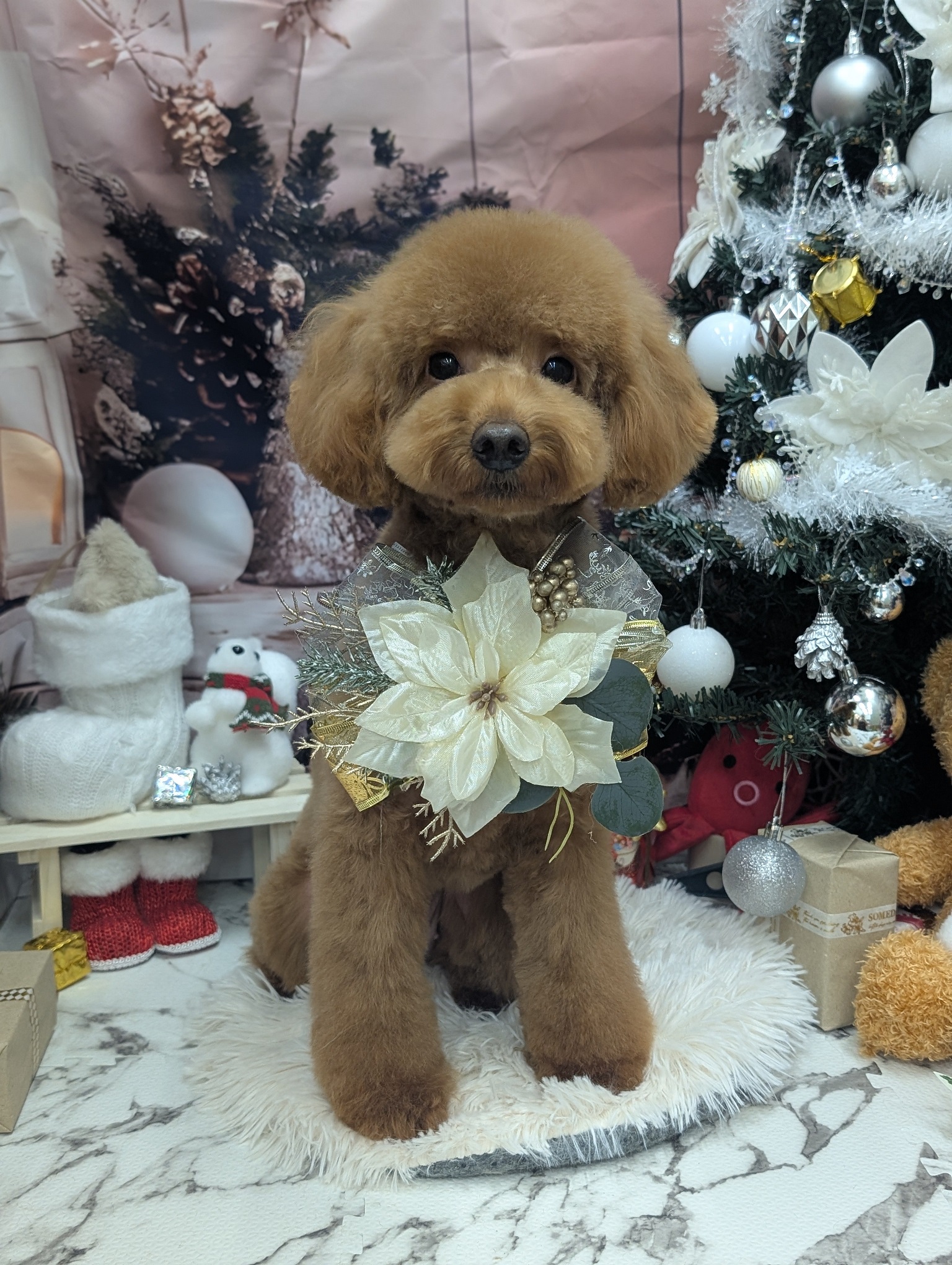 �x�������J�b�g