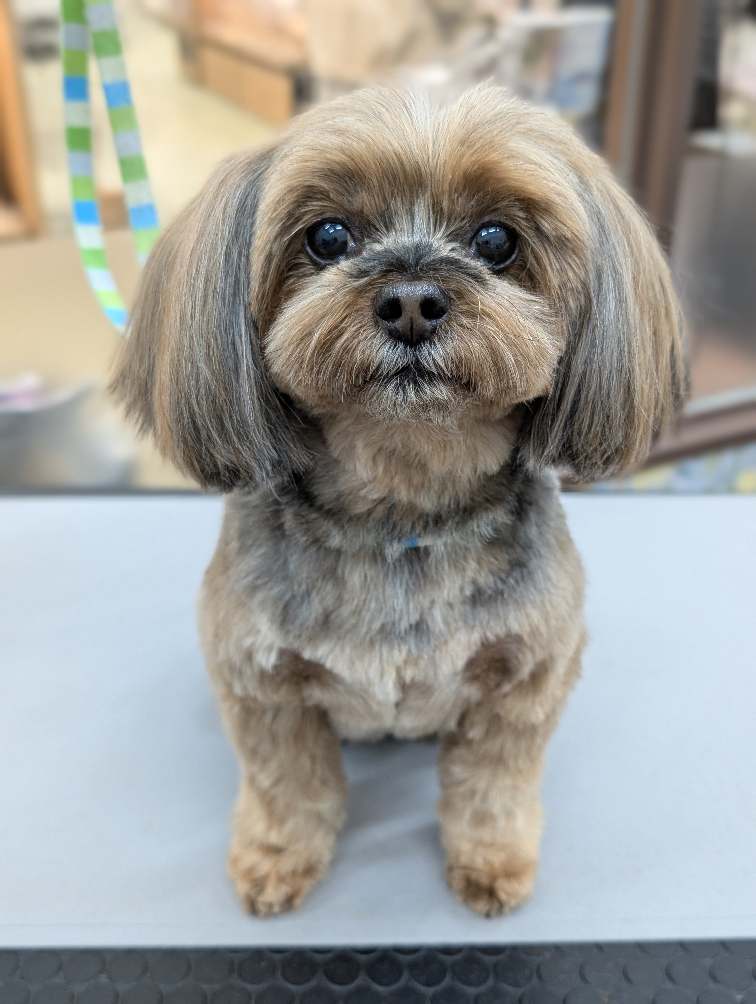 ���������J�b�g