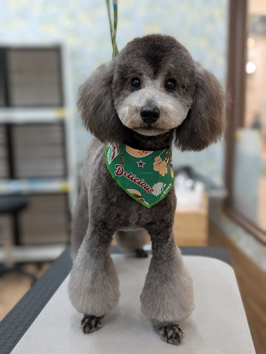 �W���C����J�b�g