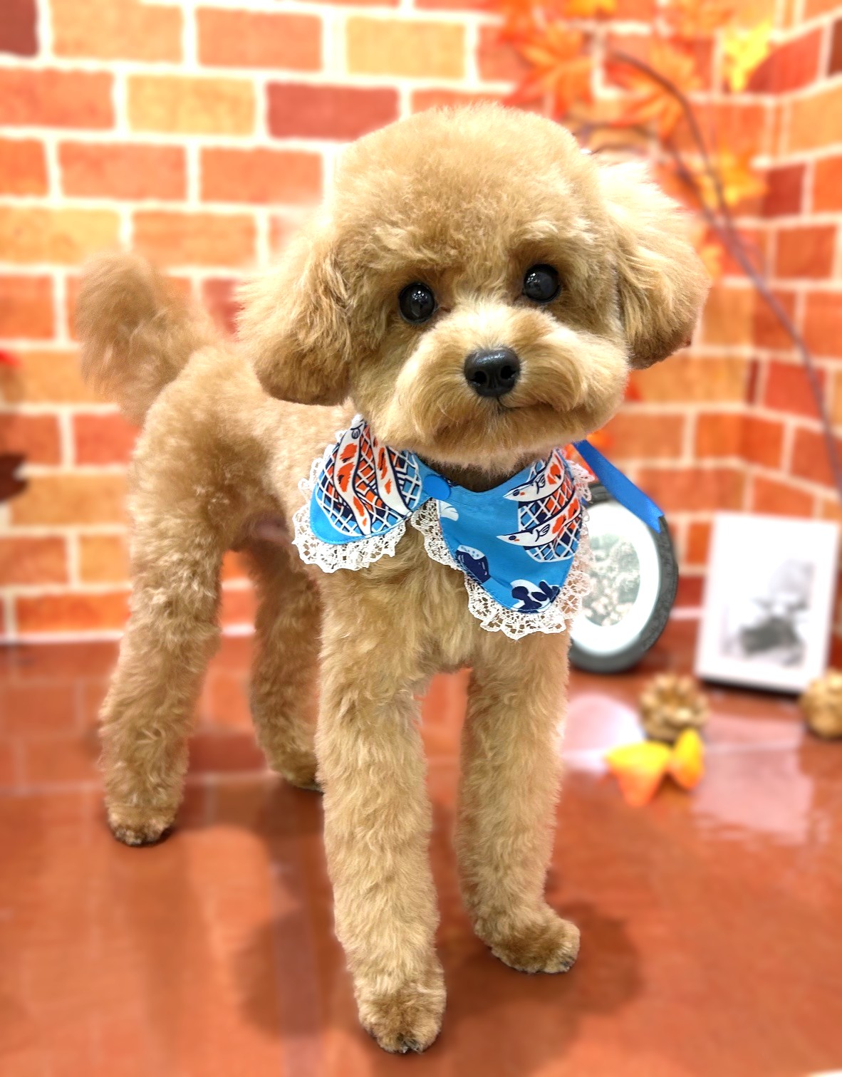 �p�s�[�v�[�h���J�b�g