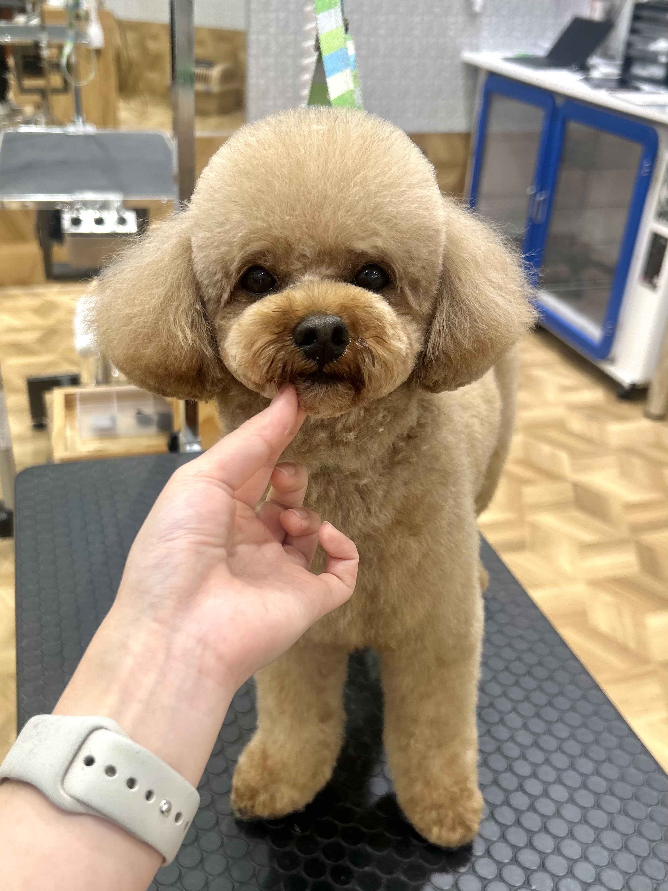 �����܂�܂�J�b�g