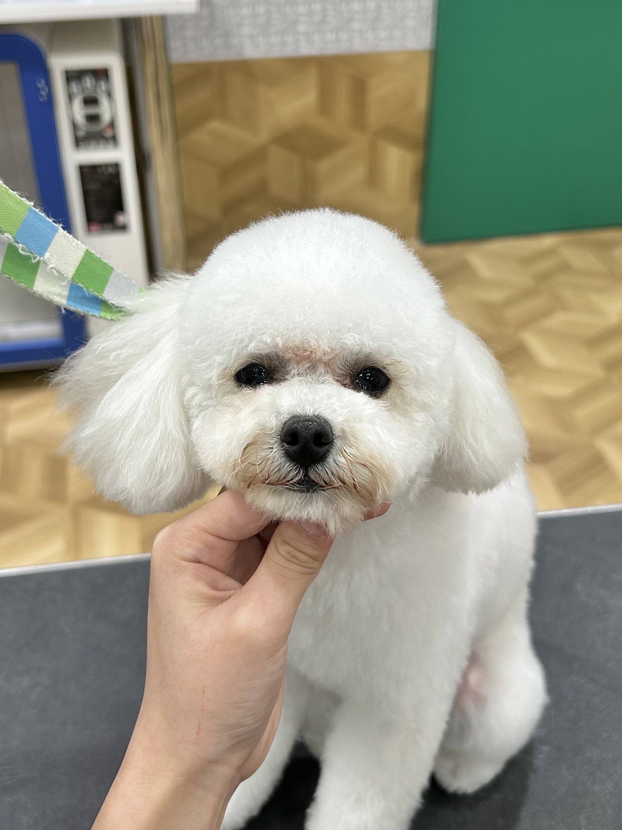 ������ꂵ�₷���ӂ���J�b�g