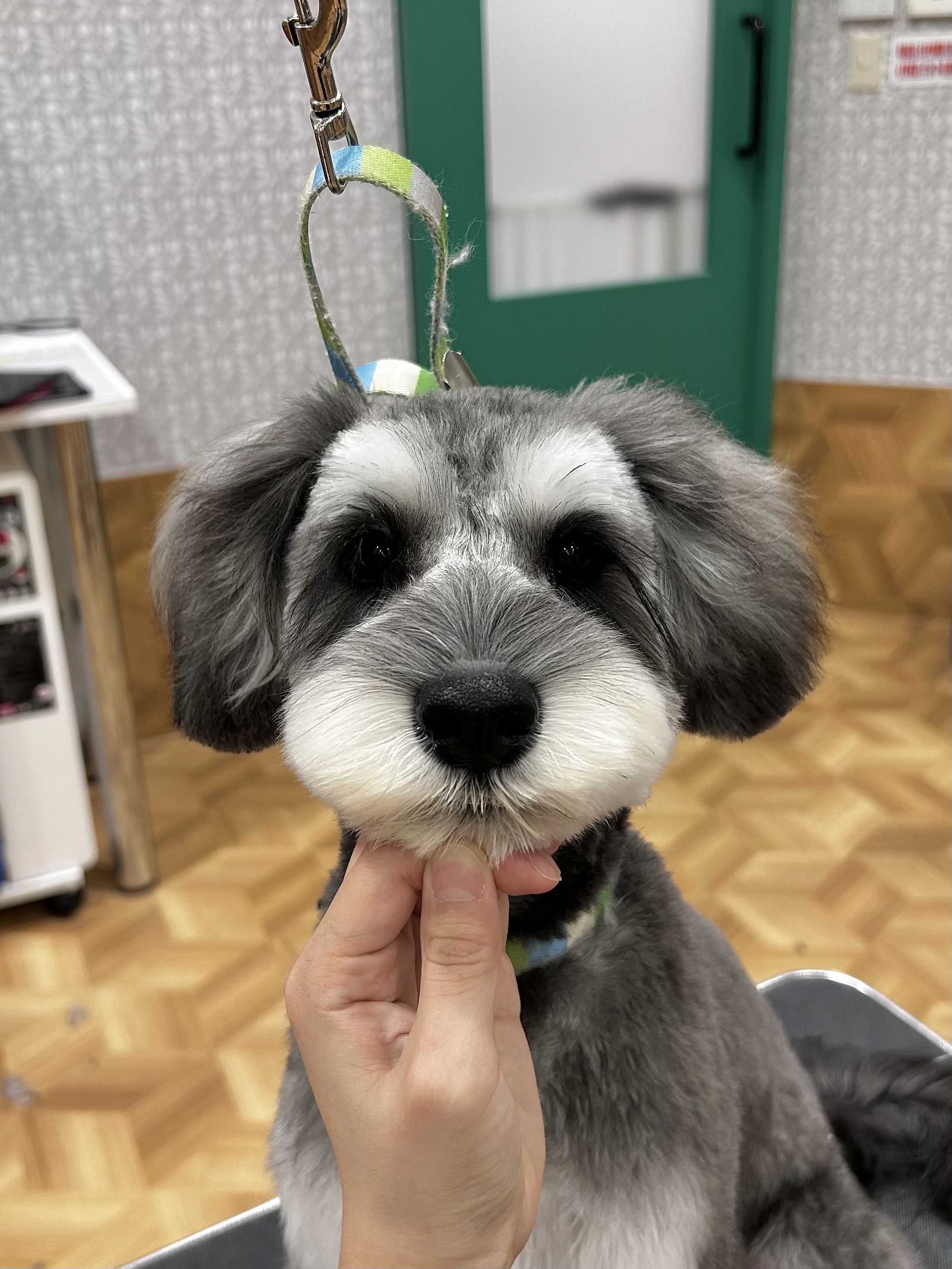 ��������Ƃӂ���̍����J�b�g