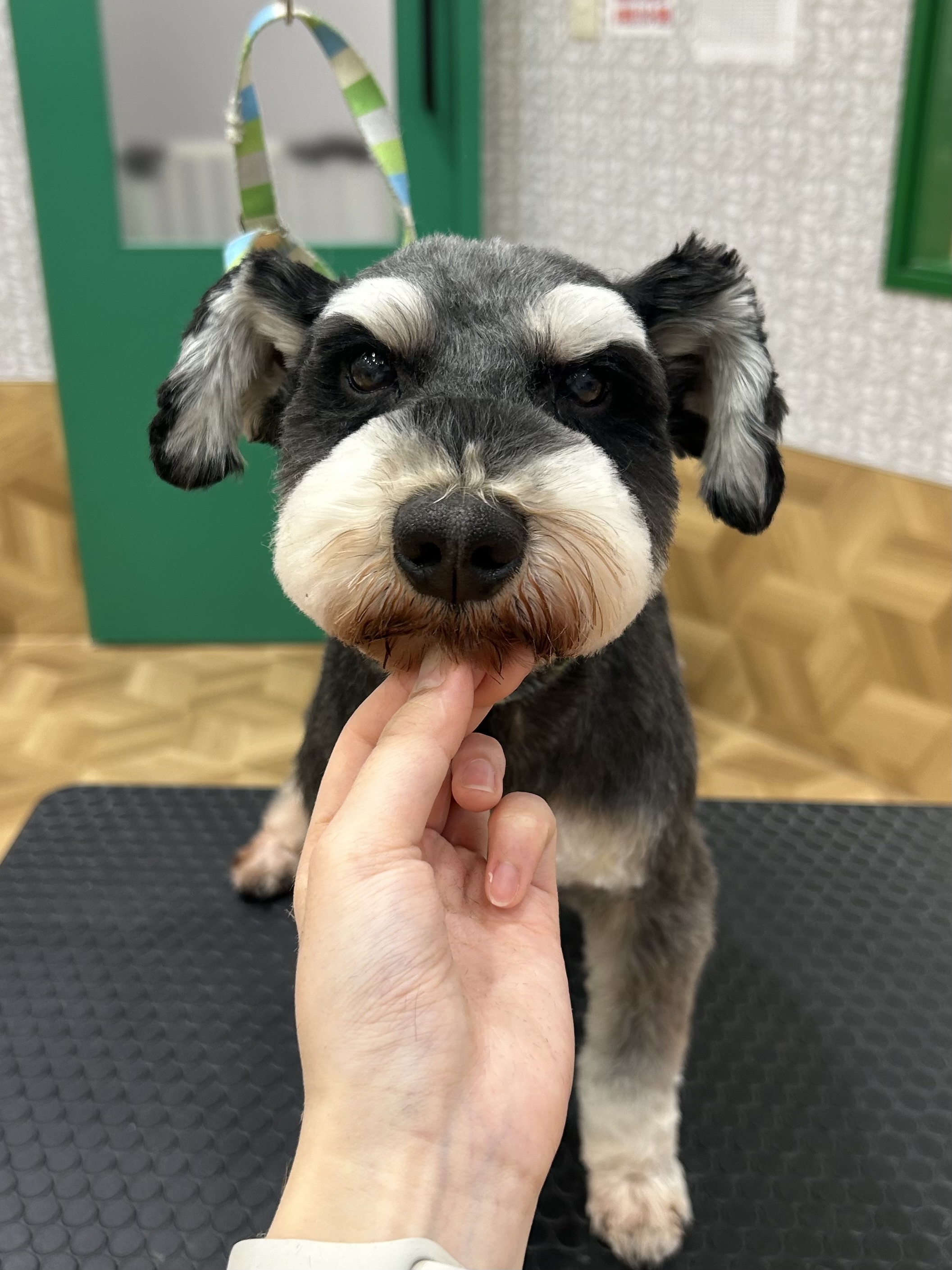 �����ۂ��V���i�J�b�g