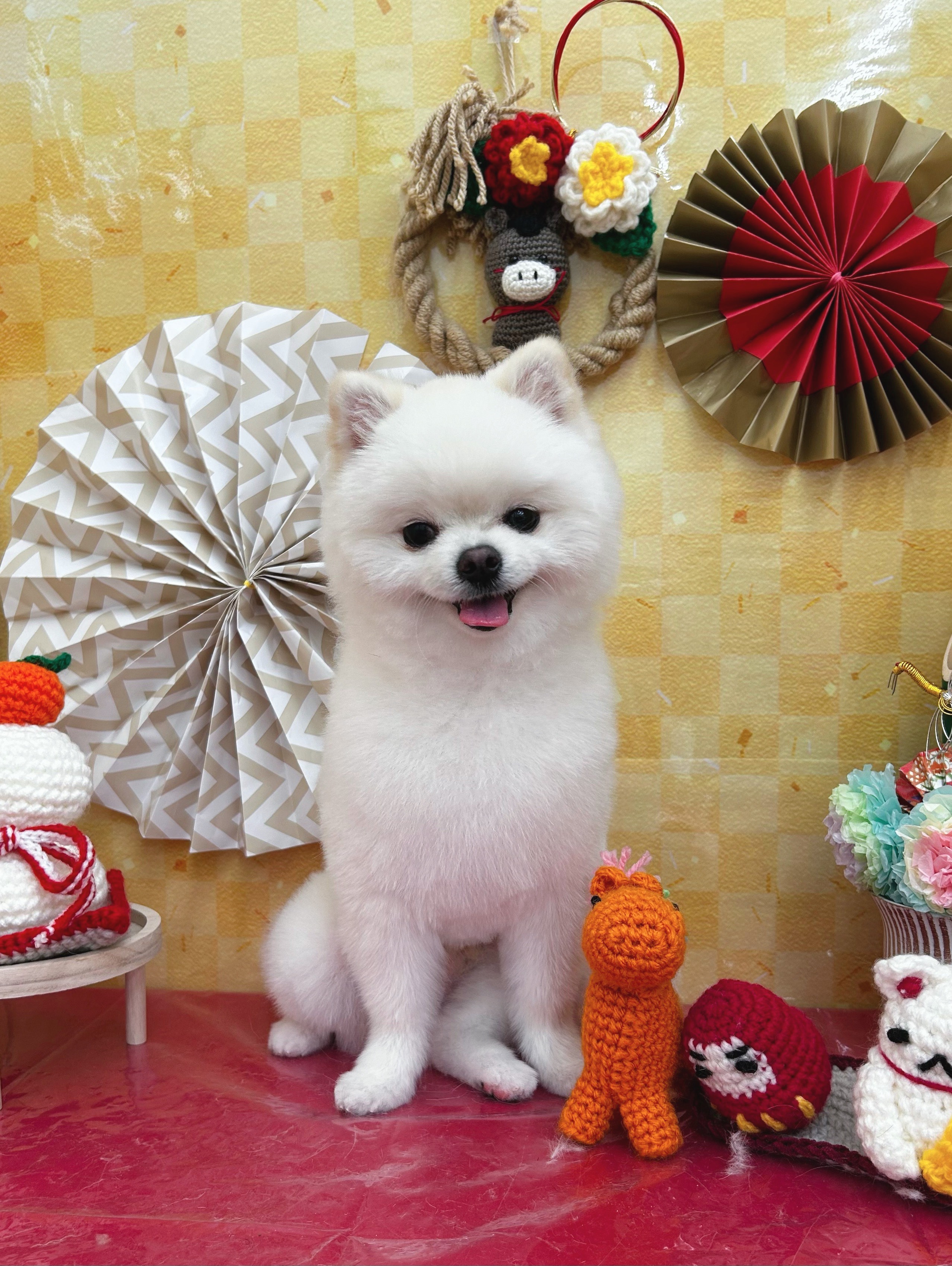 �ӂ���^�k�L�J�b�g