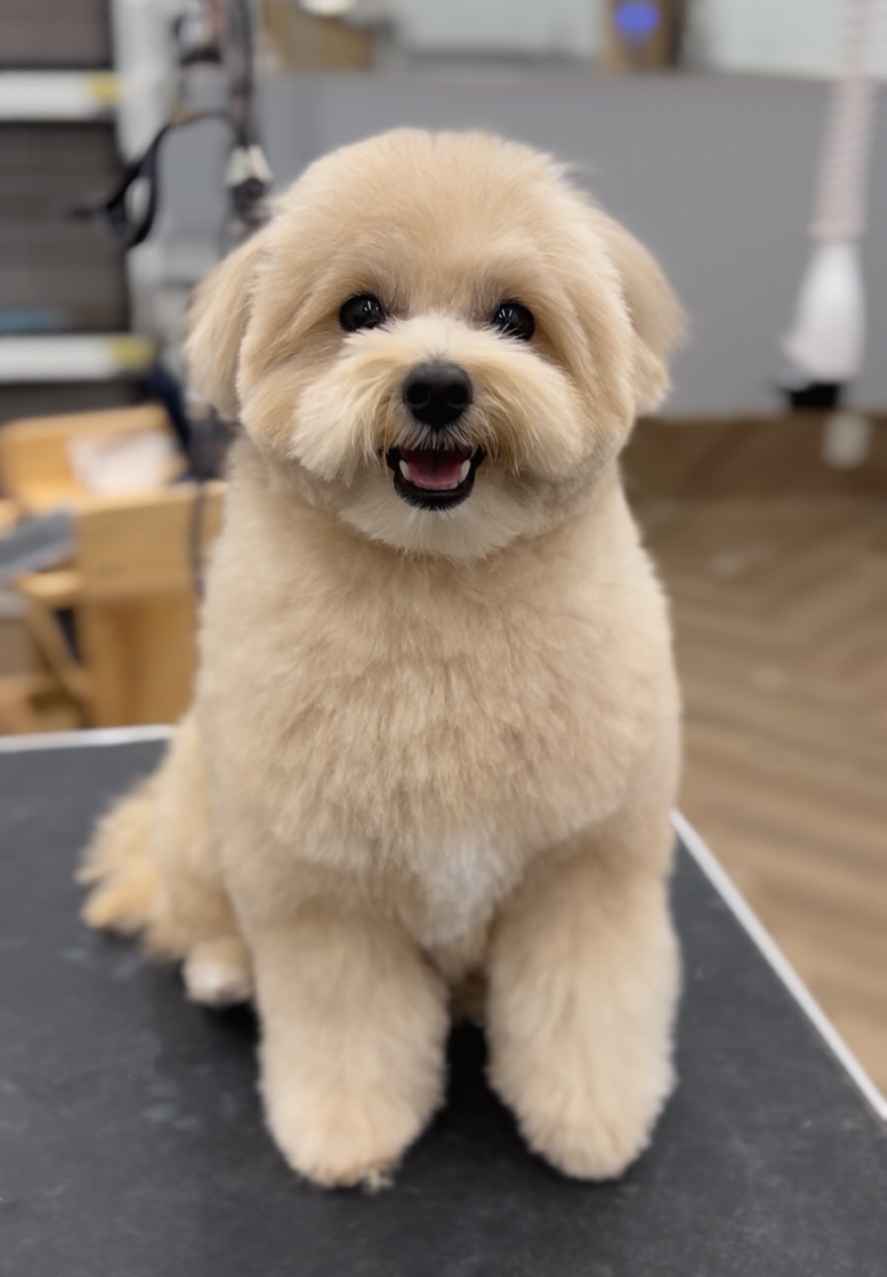 ���t���t�ʂ�����݃X�^�C��