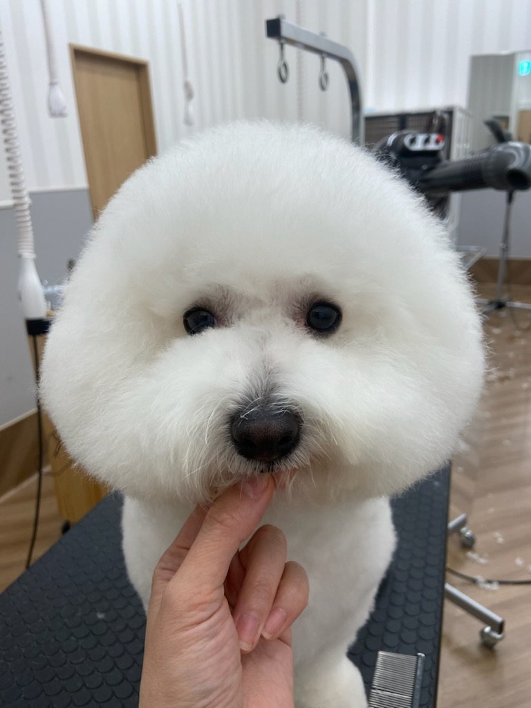 ����ӂ���J�b�g