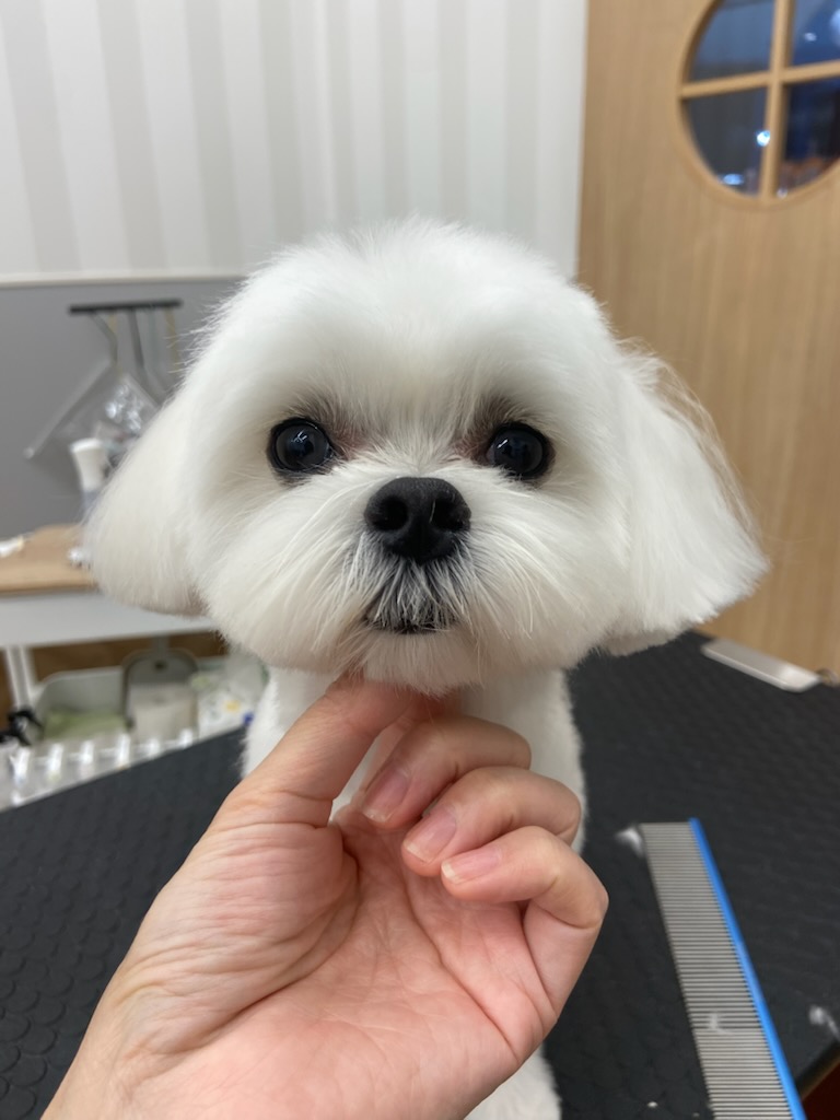 �}�������J�b�g