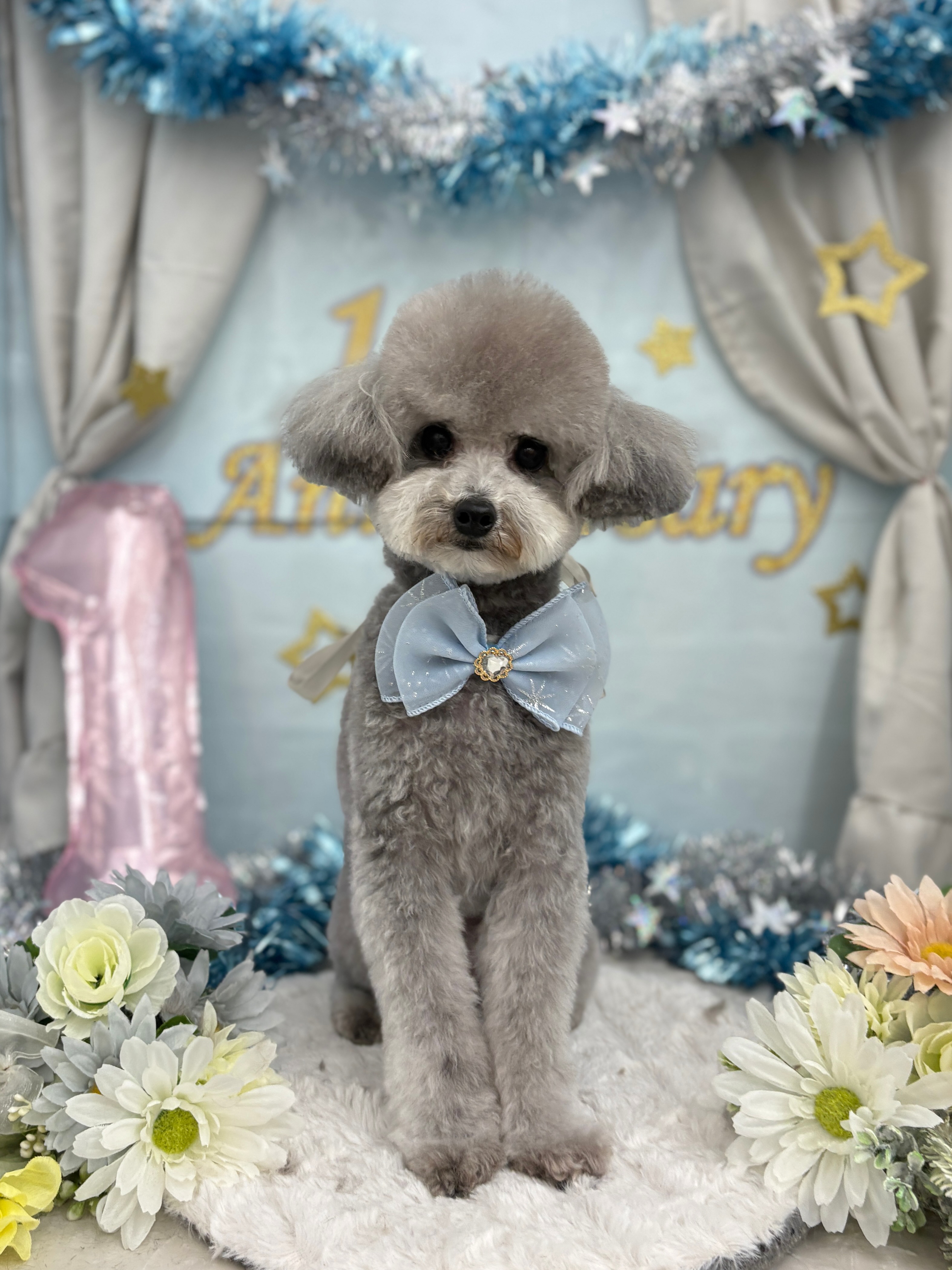 �܂�܂�e�f�B�x�A�J�b�g