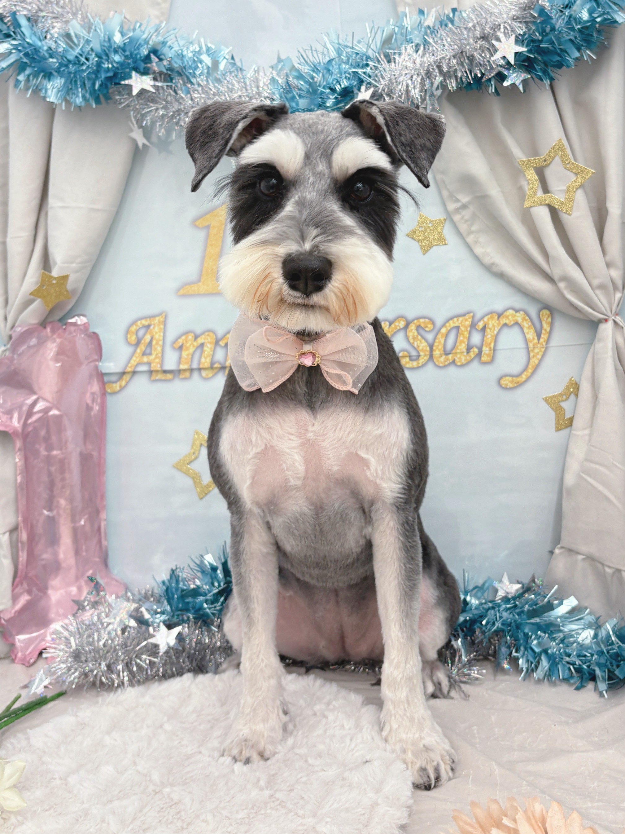 ���������̂�������V���i��J�b�g