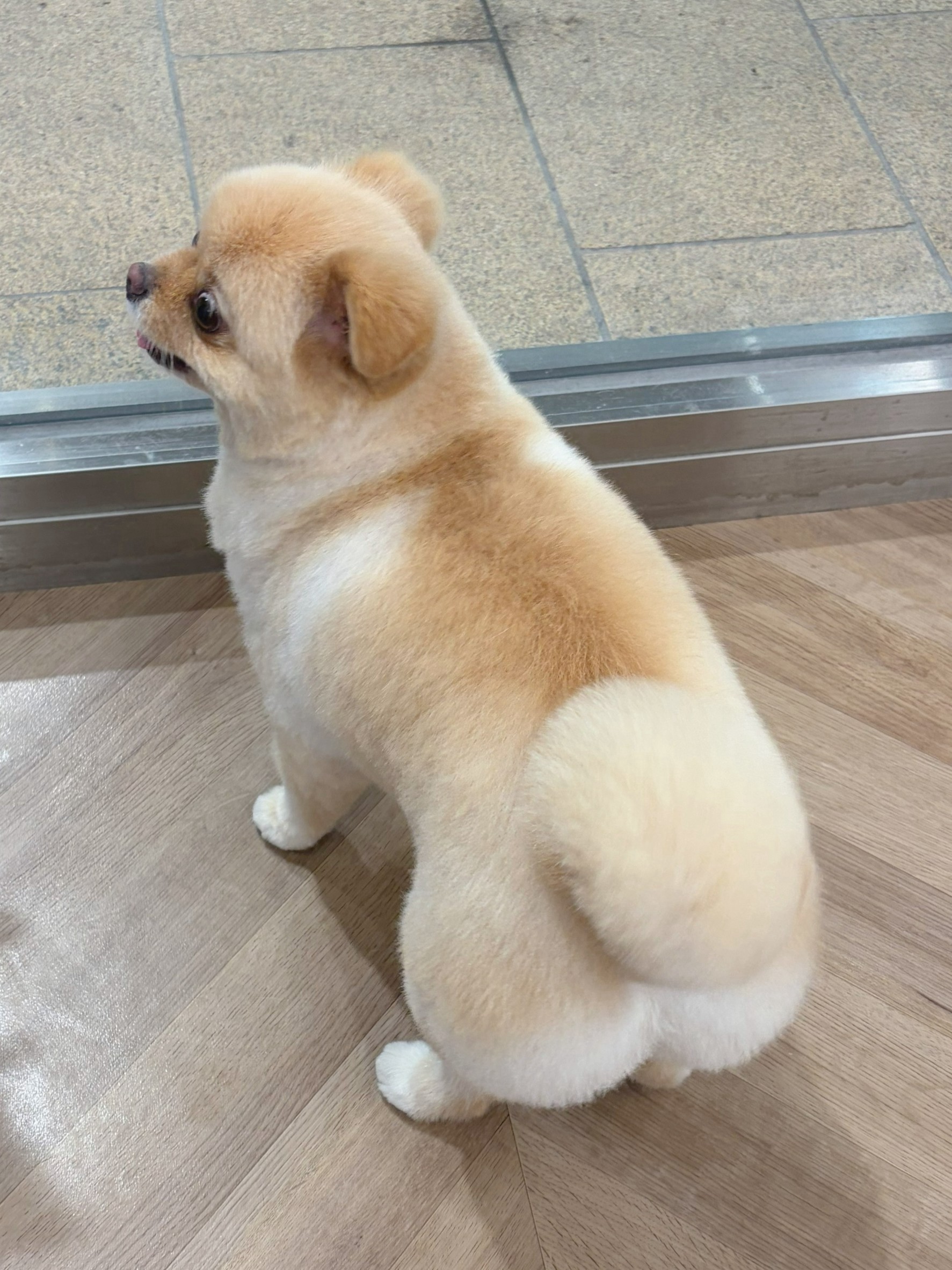 �ӂ���ăJ�b�g��