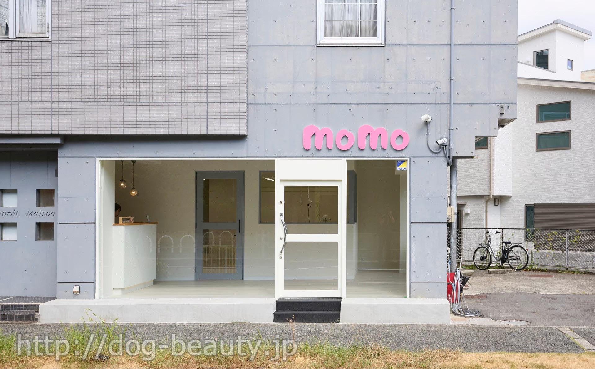 hbOTmomo