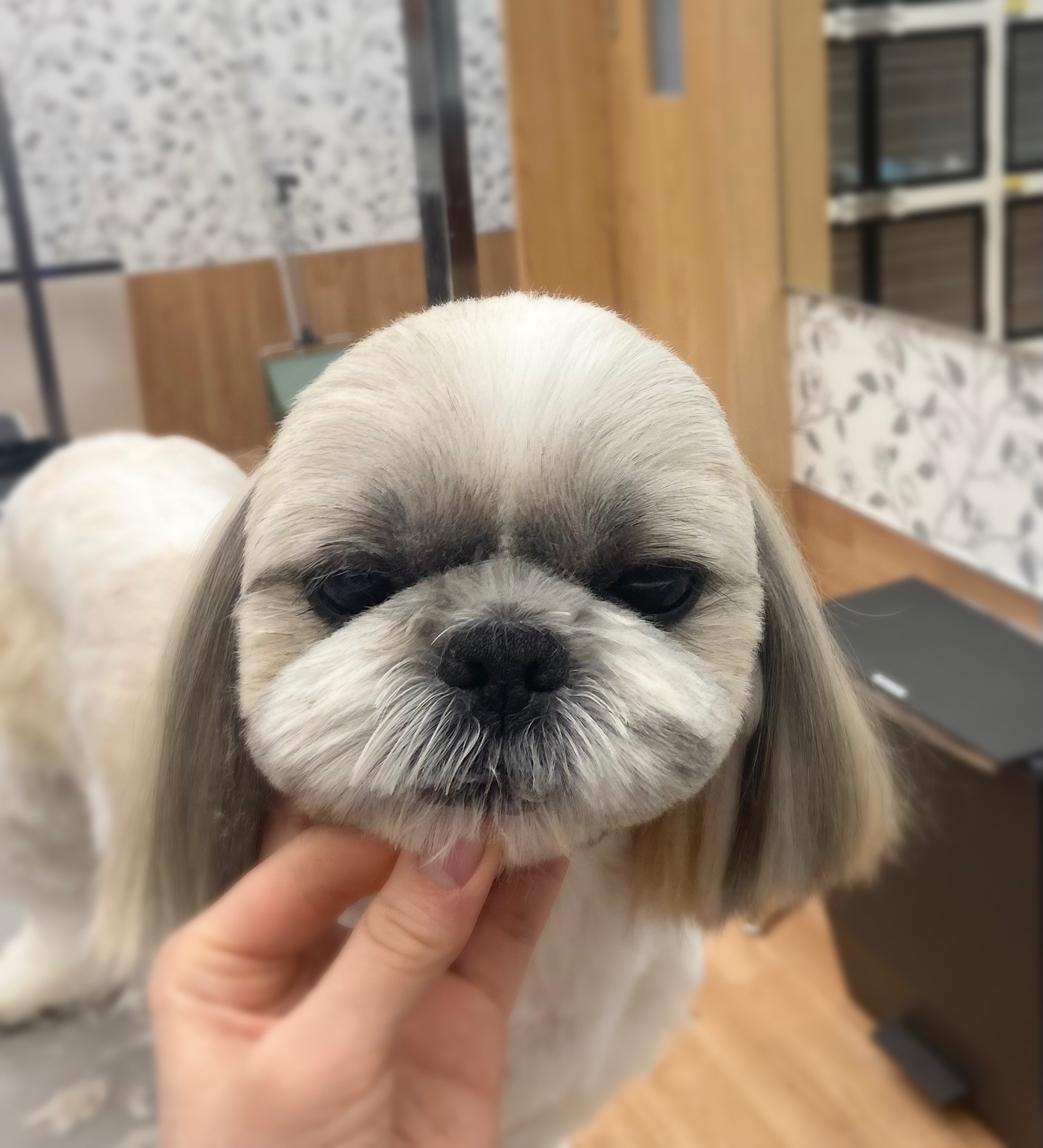 �_������̂܂��邭�J�b�g