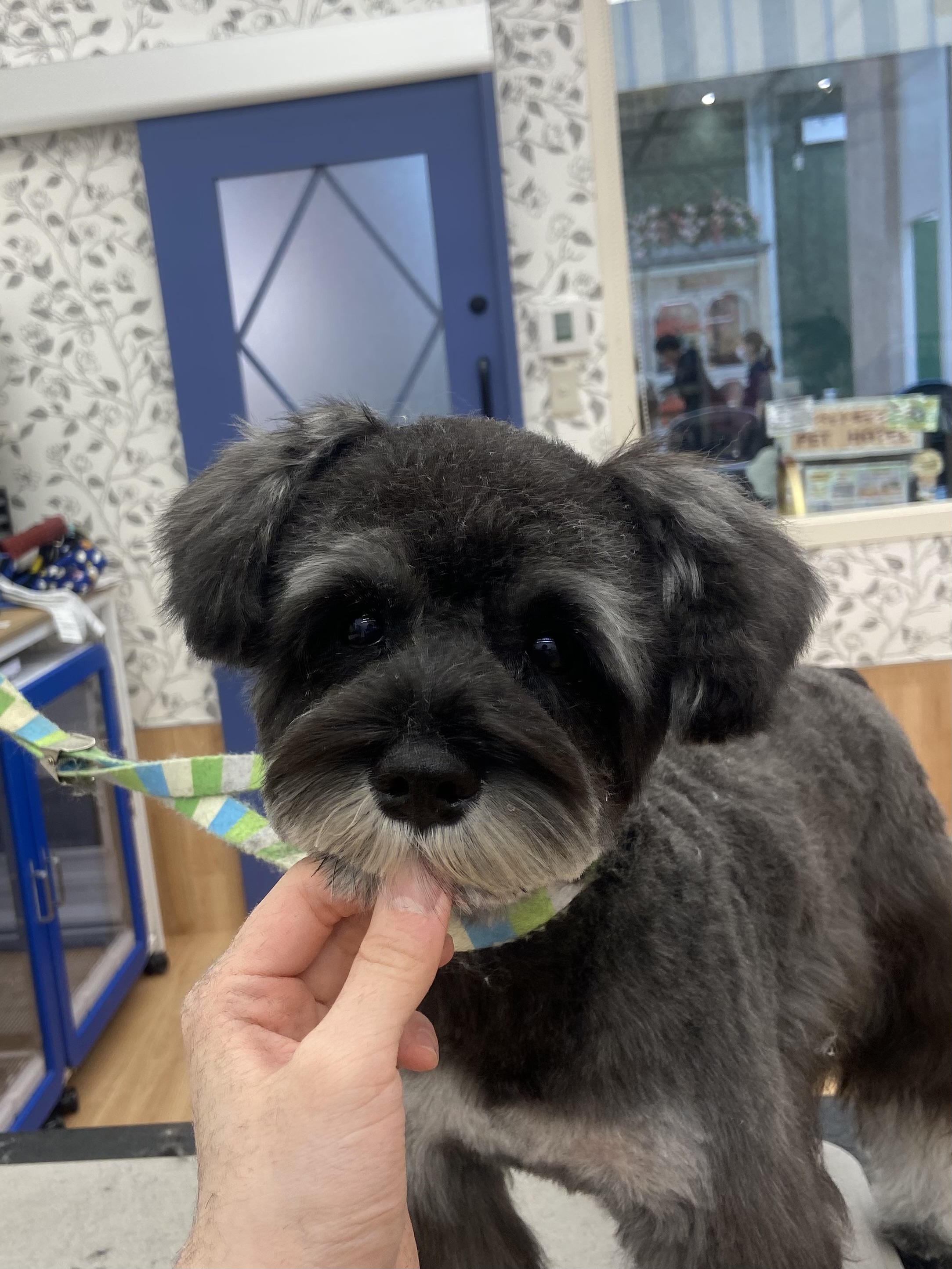 �x�������̃X�^�C���`�F���W