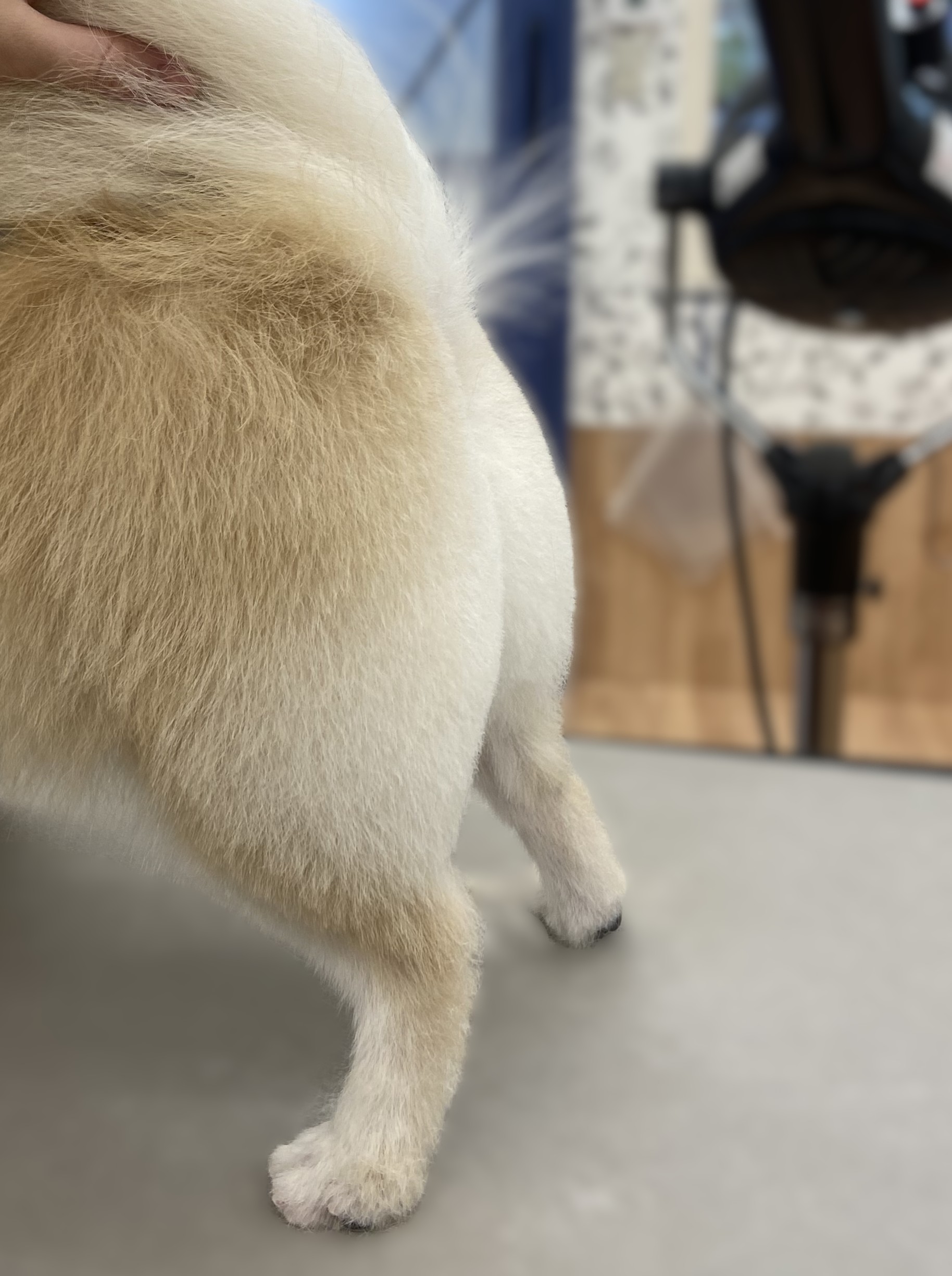 �������蓍�K�J�b�g