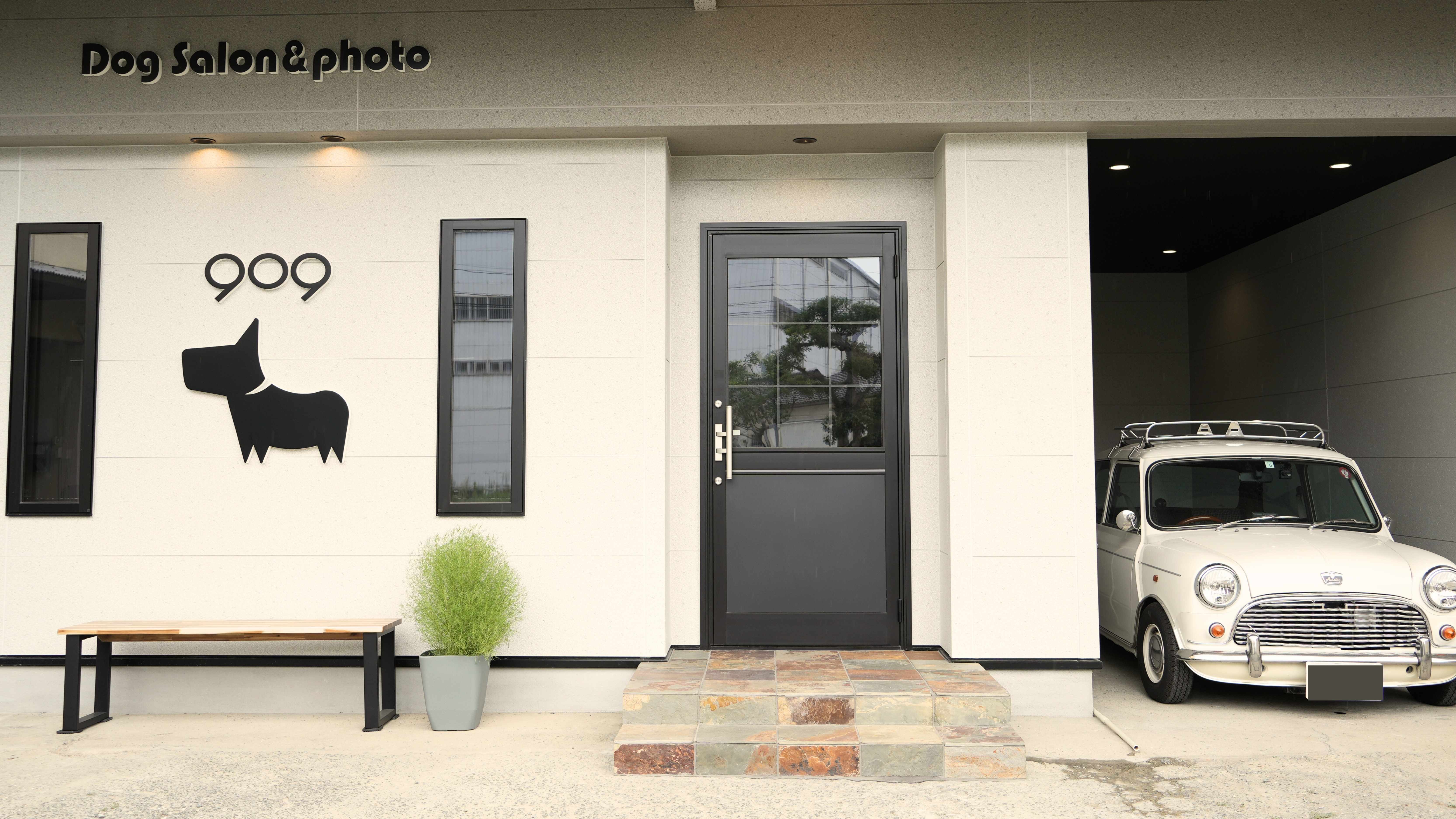 Dogsalon��Photo909