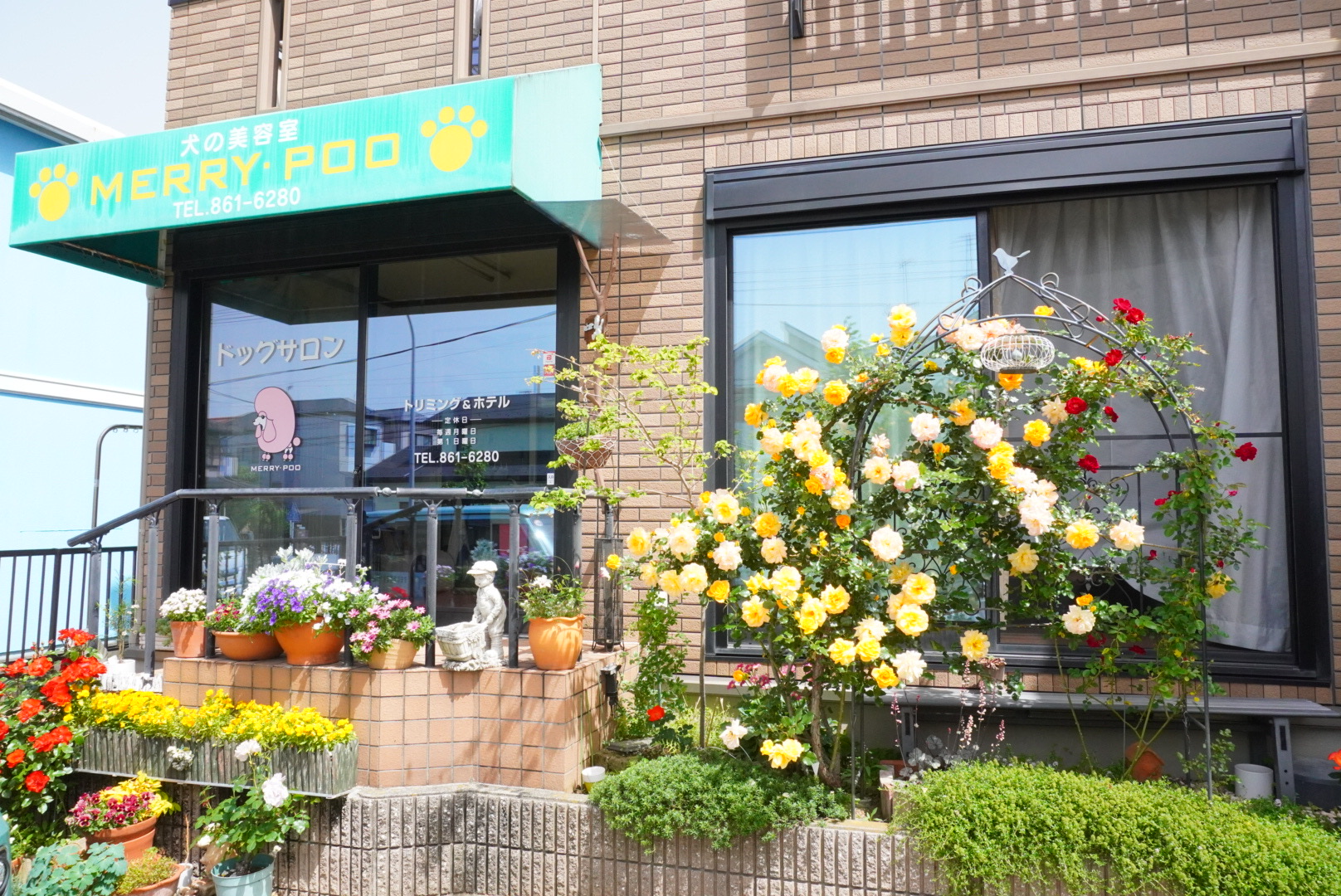 ���̔��e���@�����B�E�v�[