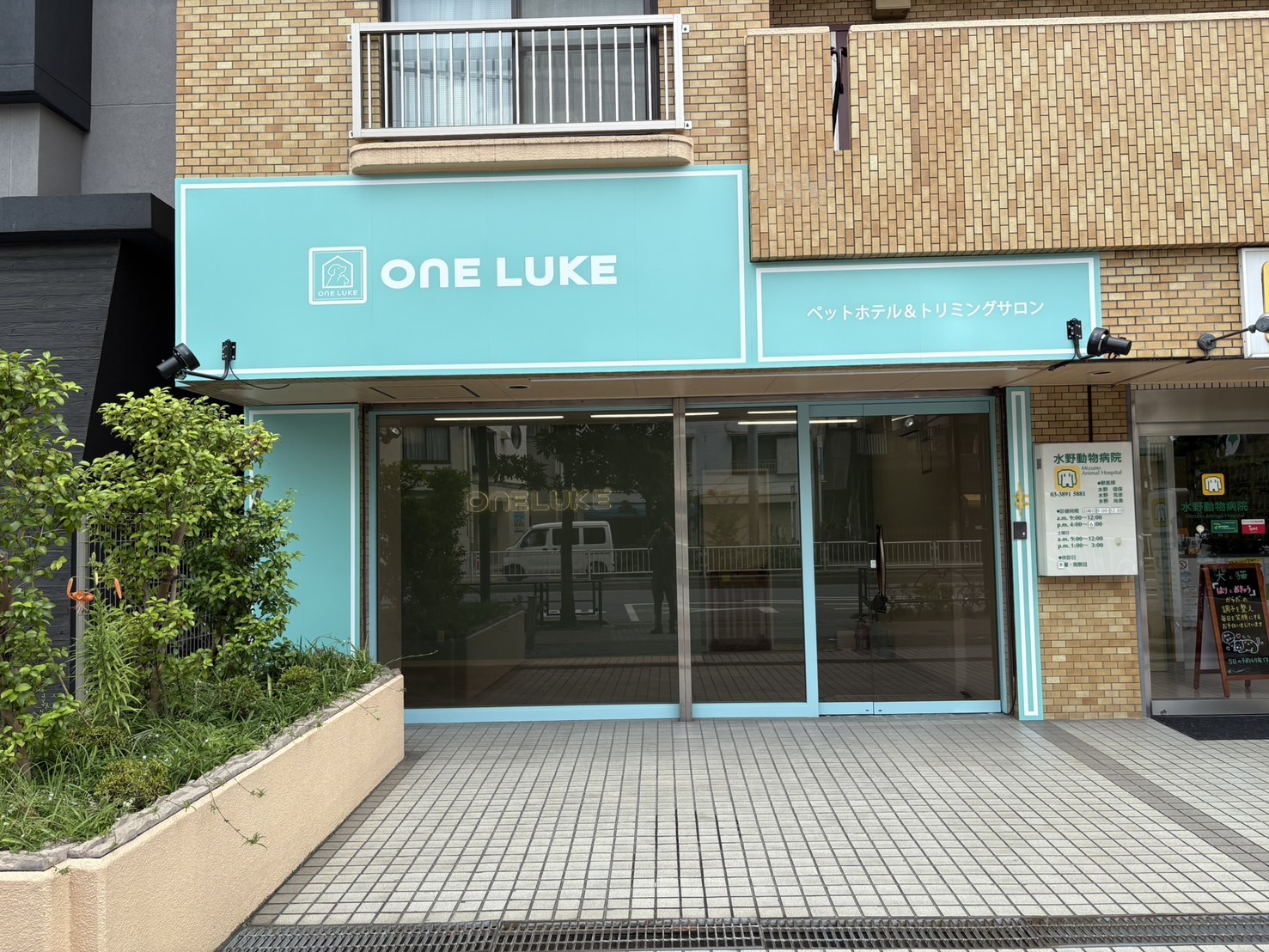 �������[�N�r���O�͓��X