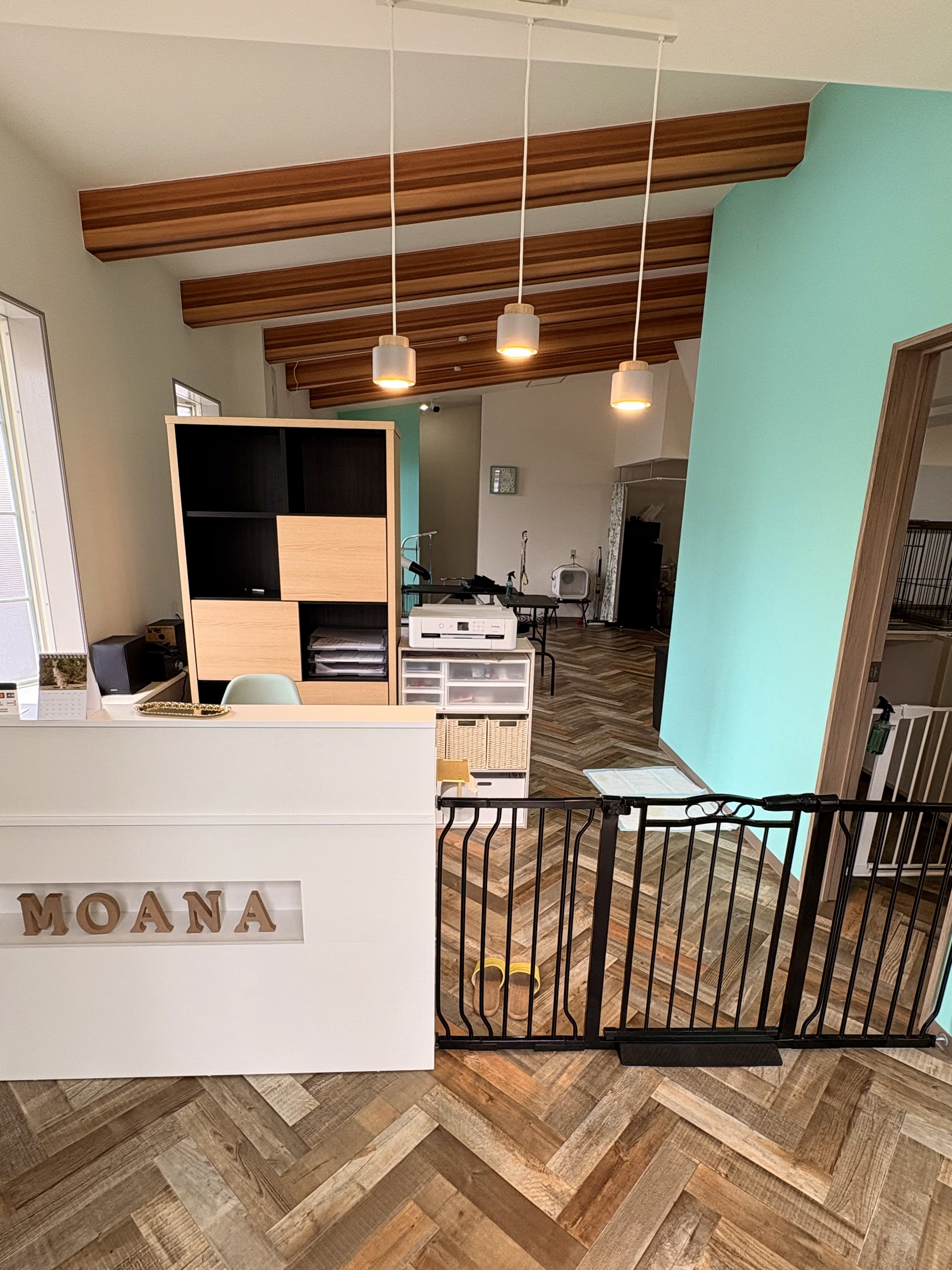 �y�b�g�T����MOANA