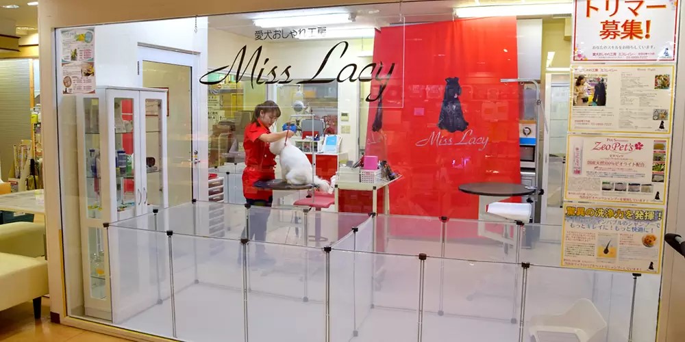 �����������H�[ Miss Lacy���c�J���X�͓X
