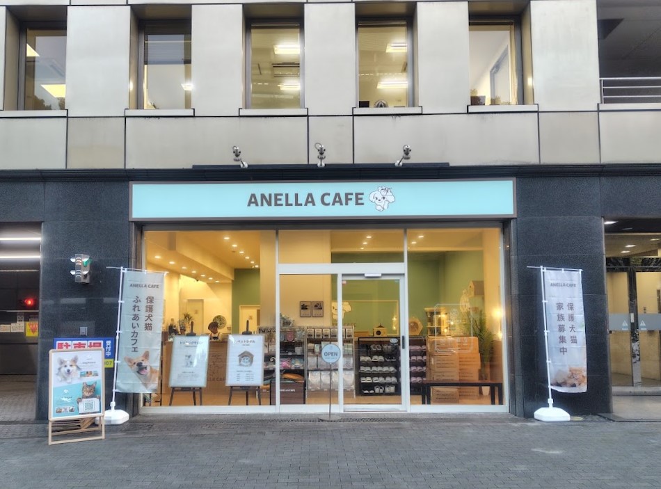 ANELLA CAFE �V�h�l�c�J�X