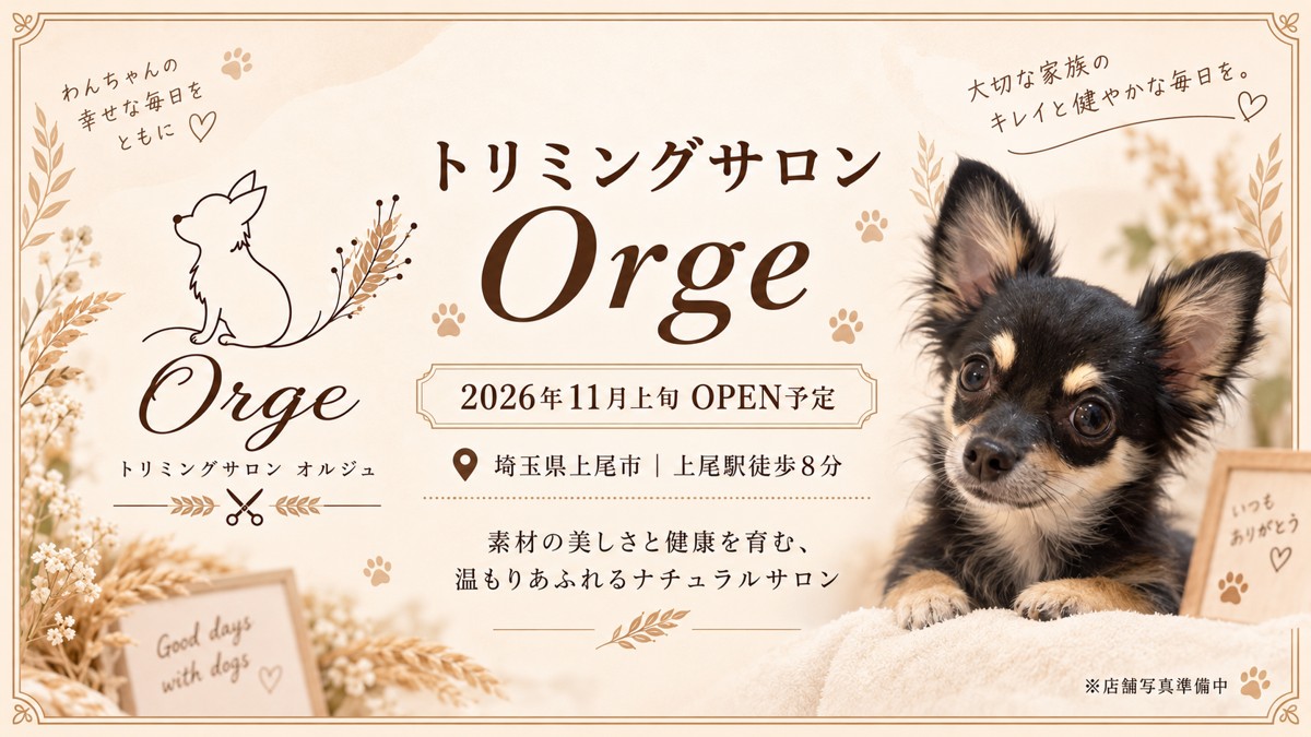 �g���~���O�T����Orge