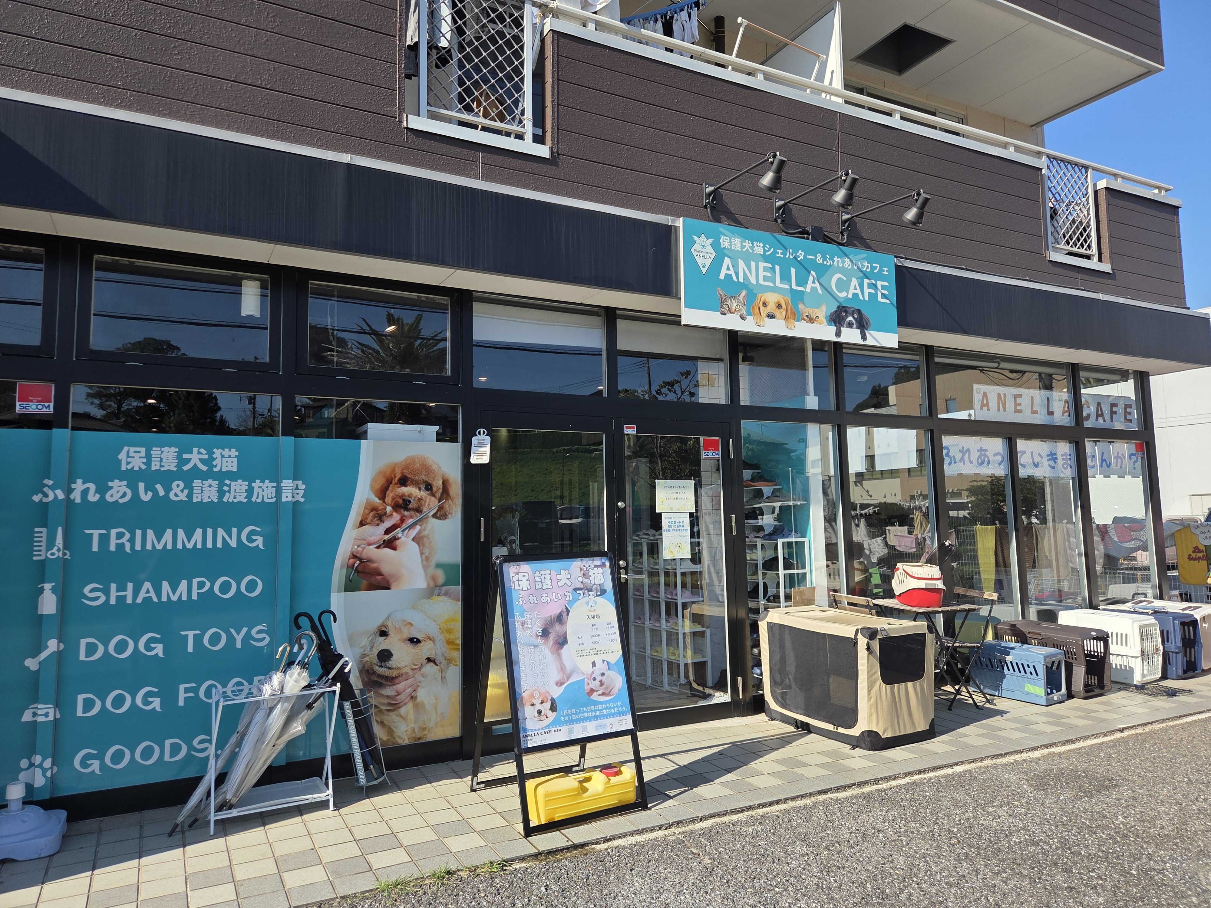 ANELLA CAFE ���q�X