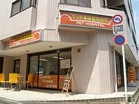 �y�b�g�Ƒ��@�����{�O�X