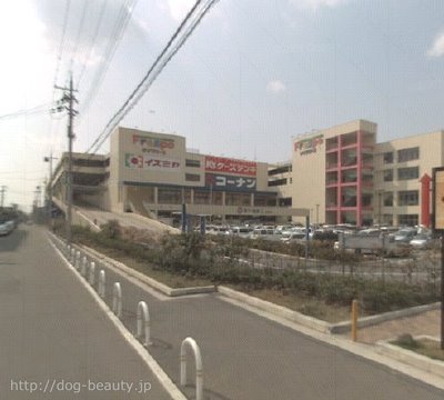 ペット プラザ 東 大阪 稲田 店