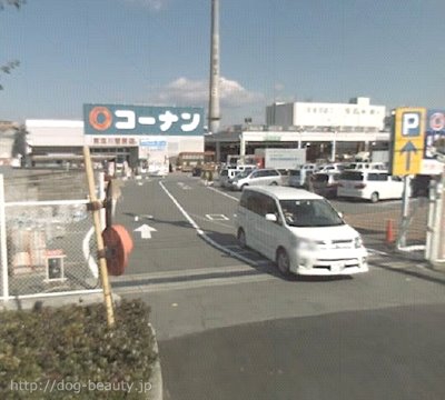 ペットプラザ東淀川菅原店 ペットプラザ ヒガシヨドガワスガハラテン ペットサロン ペット美容室検索ドッグビューティー