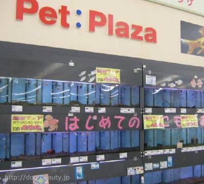 ペットプラザ横浜港北店 ペットプラザ ヨコハマコウホクテン ペットサロン ペット美容室検索ドッグビューティー