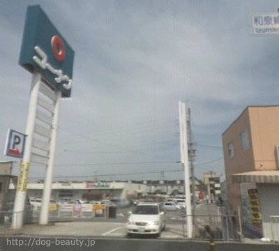 ペットプラザ泉大津店 ペットプラザ イズミオオツテン ペットサロン ペット美容室検索ドッグビューティー